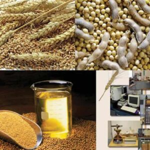 Wheat and Soybean Analysis